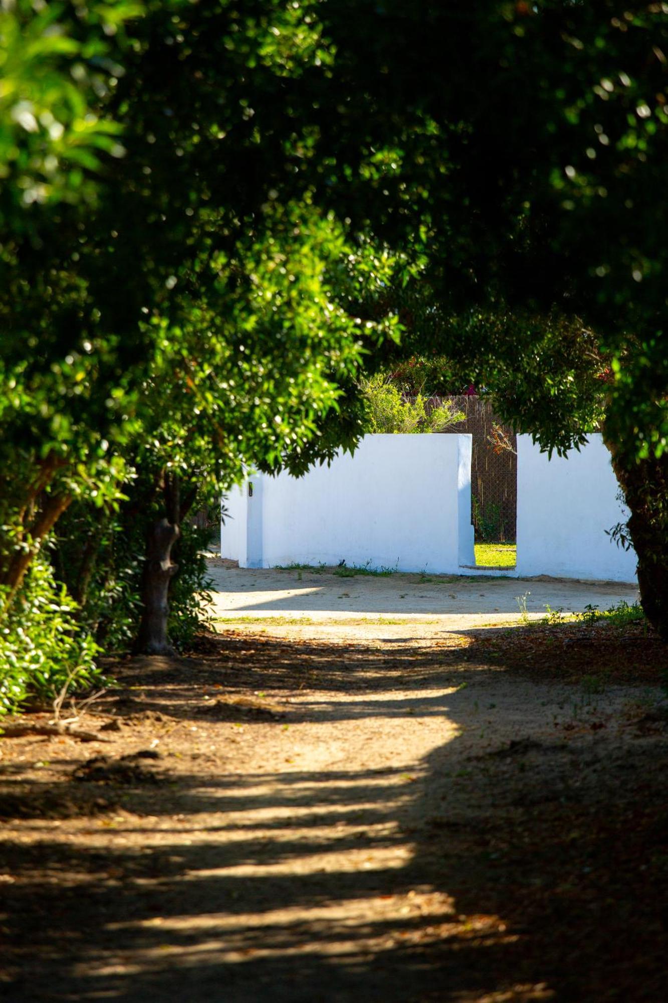 Casara Cinco - Hermosa Casa Con Vista Al Mar Y Acceso Privado A La Playa Apartment Zahora